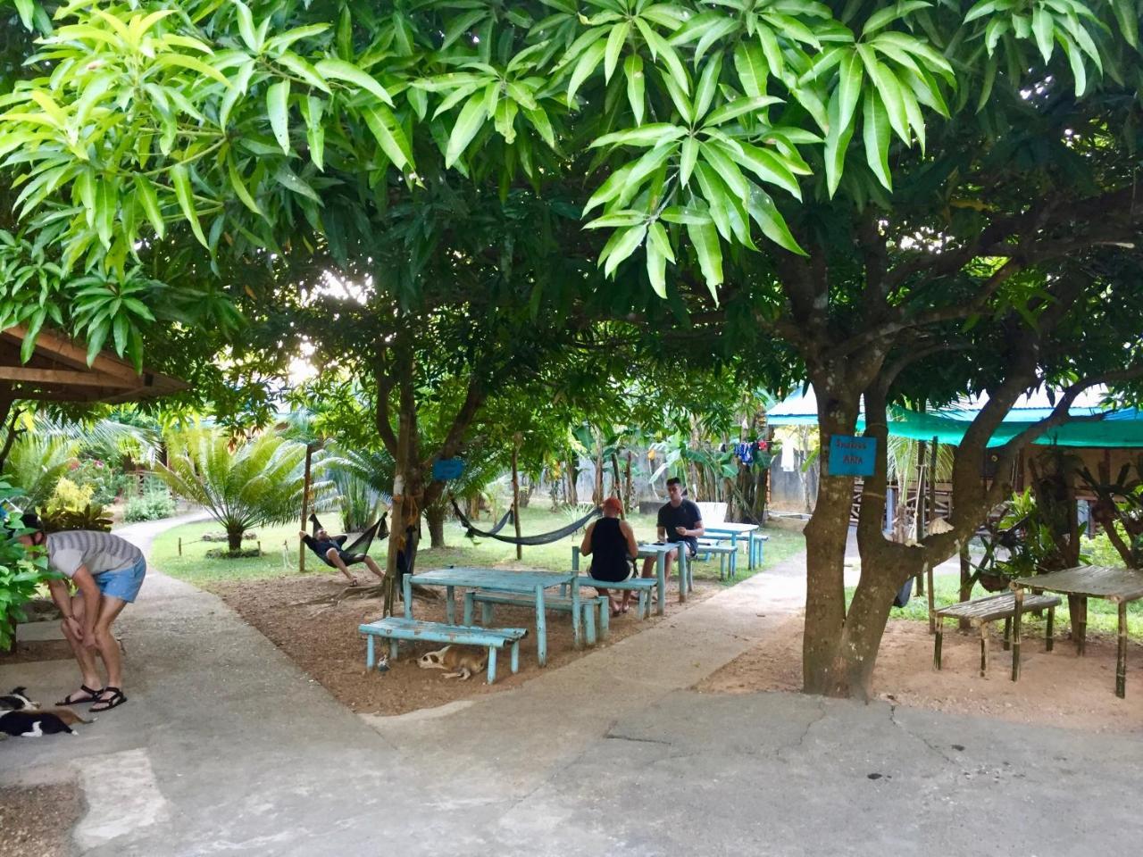 Fat Monkey Hostel Coron Exterior foto